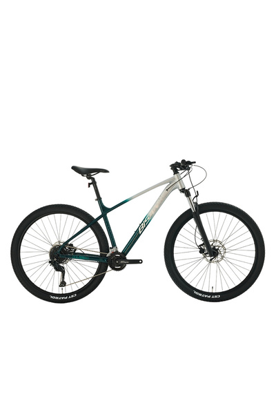 Bisan BOLD 9.2 ERKEK DAĞ BİSİKLETİ 43CM HD 29 JANT 18 VİTES GRİ KOYU YEŞİL KROM