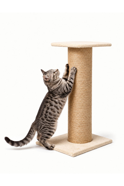 DR. CIVANA Kedi Tırmalama Direği 40x40 Geniş Taban Peluş Platformlu Kedi Tırm...