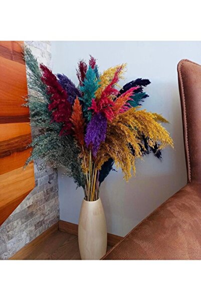 TROYA DEKORATİF EV VE OFİS BÜYÜK BOY PAMPAS OTU 10,LU DEMET 100CM Karışık