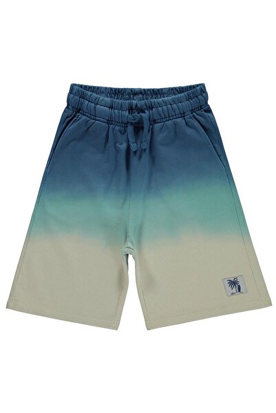Civil Boys Palm Tree Label Gradient Capri for 6-9 Years - Green