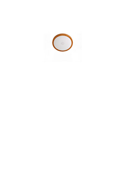 Siera Modern LED Wooden Light Ceiling 610-0401