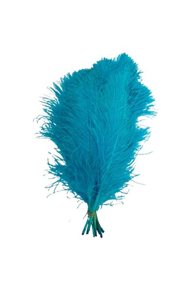 OEM Set de 3 pene de struț, lungime 50 cm, culoare turcoaz, lățime 20-25 cm