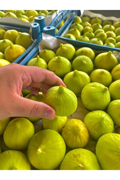 Taze Nazilli Organik Sarılop İnciri 1kg