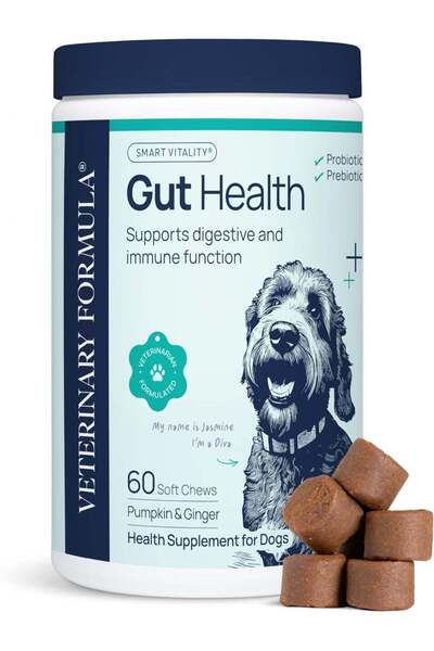 Veterinary Formula Clinical Care SynergyLabs Gut Health Probiotic Soft Chews ...