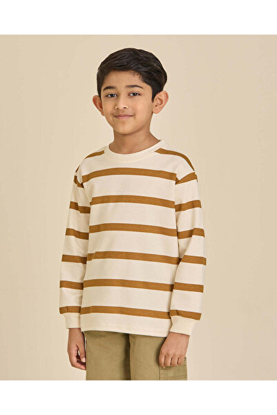 REDTAG Boys Brown Striped Long Sleeve Crew Neck T-Shirt