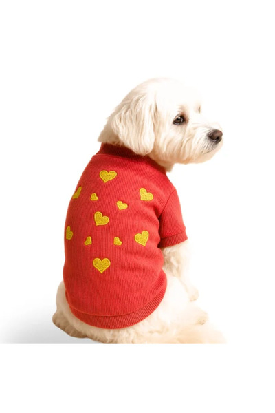 GedyCo Pink Love Yellow Hearts Small Breed Dog Sweatshirt