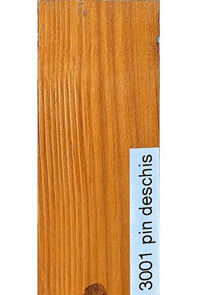 Generic Brand LAZURA PT GARD SI CASE DE LEMN PE BAZA DE APA 5kg