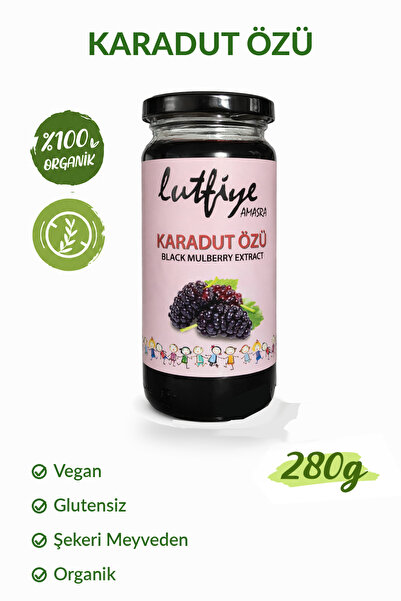 Organik Karadut Özü 280 g – Rafine Şekersiz, Katkısız ve Vegan