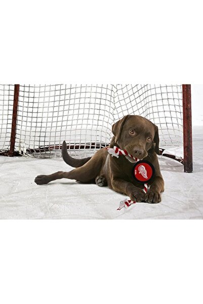Pets First لعبة مطاطية للكلاب متينة مع حبل سحب قوي للكلاب. كرة هوكي الجليد لف...