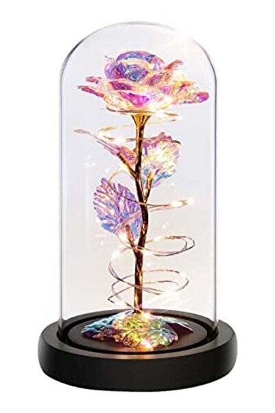 HXD Zoomlion Artificial 24K Gold Foil Rose in Glass Dome with LED Lights, Ete...