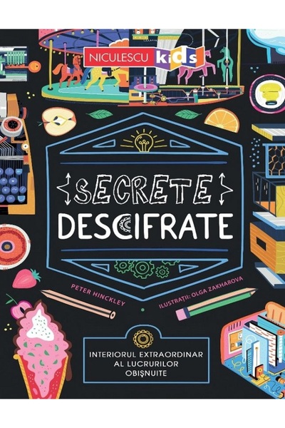 Niculescu Secrete descifrate. Interiorul extraordinar al lucrurilor obisnuite...