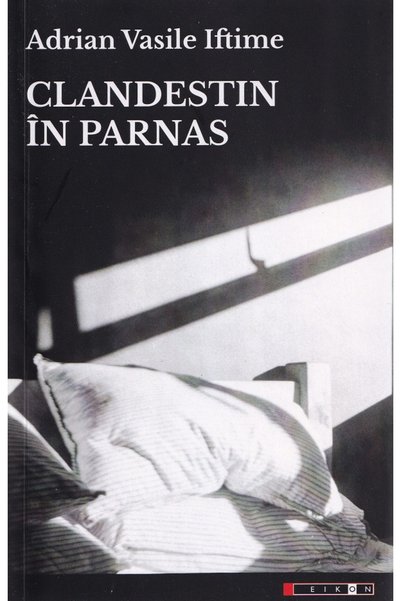 Eikon Clandestin in Parnas - Adrian Vasile Iftime