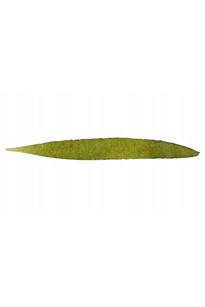 NO BRAND Cerneală ATRAMENT GRAF VON FABER-CASTELL pentru stilou 75 ml Verde M...