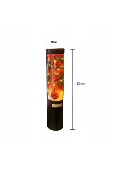 NO BRAND FLORI ÎN CUTIE Trandafiri Mydlane în tub cu LED, cadou pentru ziua d...