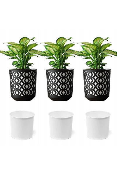 LAMELA BAG SET 3x INSERȚII PENTRU JARDINIȚE DE GRĂDINĂ ACASĂ
