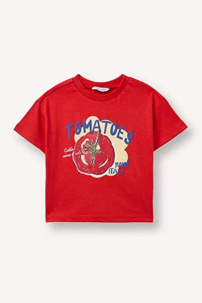 DeFacto Regular Fit Crew Neck Printed Short Sleeve T-Shirt Baby Boy I6234A526Hs