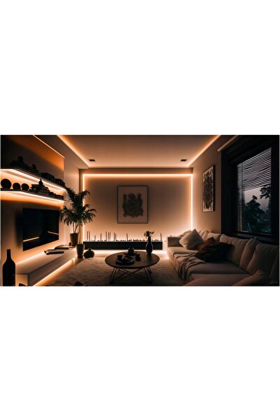 NO BRAND Ledy COB 12V Bandă LED de exterior impermeabilă 5m, Alb neutru, Lumi...