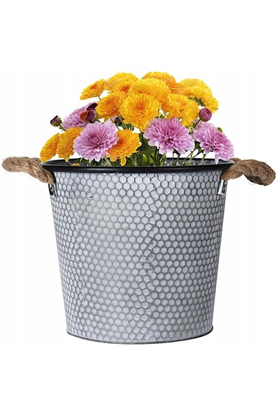 Progarden GHIVECI DE PROTECȚIE pentru flori, din metal, 26 cm, gri, K3