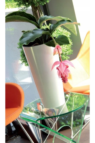 Prosperplast Ghiveci subțire cu luciu intens 30x57cm Tubus Alb