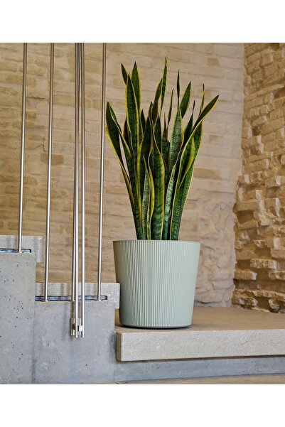 NO BRAND Ghiveci rotund verde măsliniu italian FYRE 25 cm Design UV cu dungi
