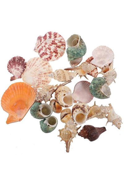 Generic Brand McMola Mixed Sea Shells, 200g Beach Seashells Starfish, Various...