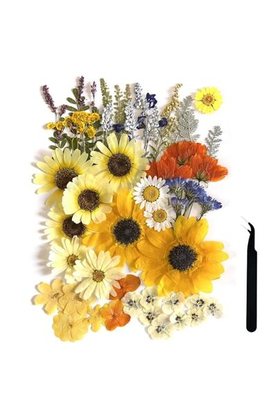 Generic A4 Large Dried Pressed Flowers for Resin – Real Sunflower and Natural...