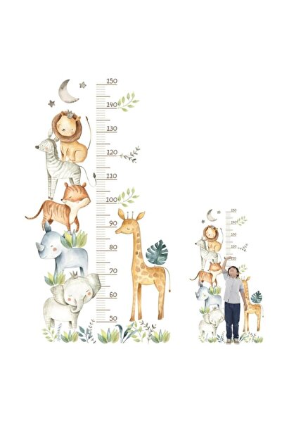 Generic Brand X spring Height Growth Chart, 50 to 150 cm Self Adhesive Wall S...