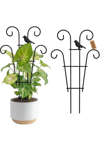 Generic Indoor Small Trellis for Potted Plants, 15.7in Pothos Plant Climber w...