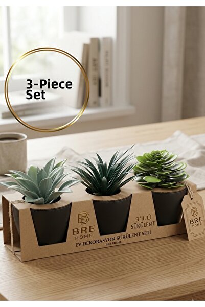 BRE HOME Set de 3 plante suculente artificiale / set de plante decorative pen...