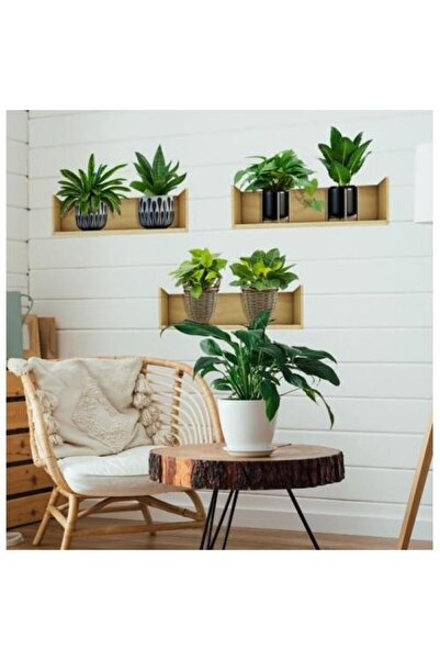 optana Raflı Bitki Tasarımlı Yapışkanlı Sticker 20X30 Cm 3lü Set Ev Dekorasyonu Çiçek Duvar Çıkartması