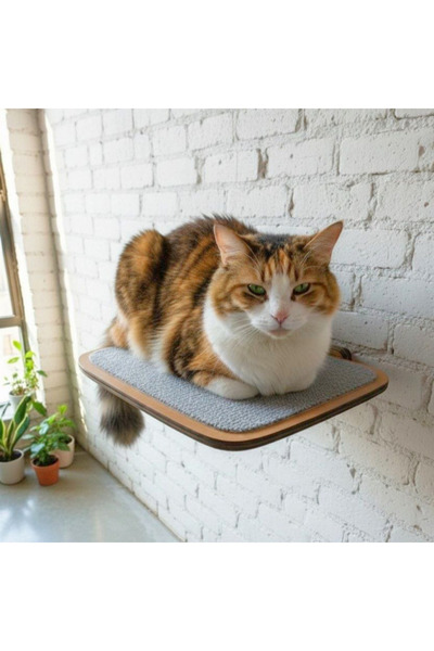 CatraWorks Büyük Boy Kedi Tırmanma Rafı, Kedi Duvar Rampası, Duvar Yürüme Pla...