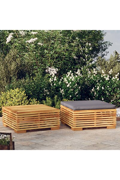 Concept Set mobilier de grădină, 2 piese, lemn masiv de tec