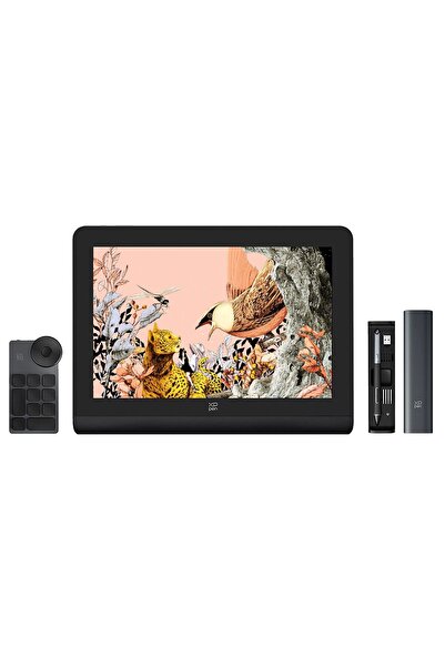XP-Pen Artist Pro 16 Grafik Ekran Tablet 2nd Generation
