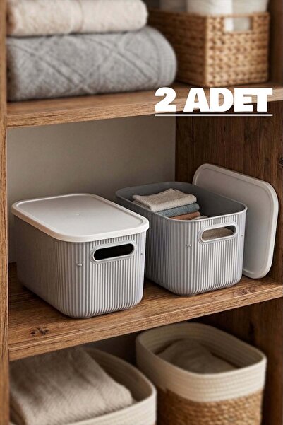 Bayev 2 Pieces Storage 6lt Gray Multi-Purpose Closet Organizer Box with Lid, ...