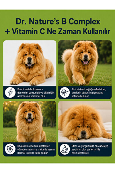 Dr. Nature's Köpekler İçin B Kompleks C Vitamini 75 Tablet Enerji Metabolizması ve