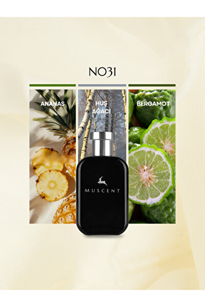 MUSCENT N031 Avntus 50 ml.