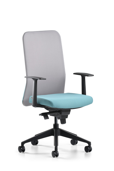 Bürotime Comfy Çalışma Koltuğu | Sabit Kol | Plastik Ayak | Gri/Mint Yeşili