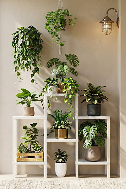 Frapan Home 6 Raflı Plastik Raf Ünitesi Saksılık Çiçeklik Saksı Standı Dekora...