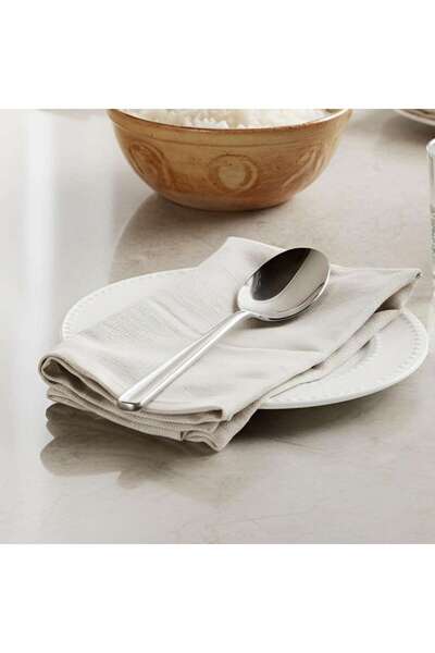 PAN HOME Orbit 2-piece Serving Spoon 23cm -chrome