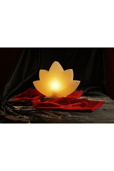 TUZCU KENAN White Lotus Flower Model Salt Lamp with Wooden Base Decorative Ambient Lamp