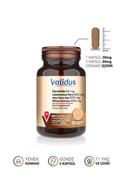 Validus Ceramide 60 mg + Löykotomos Fern 500 mg + Aloe Vera Gel 200 mg + Wheat Extract 200 mg 60 Capsules
