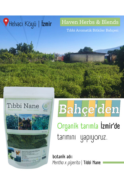 Haven Herbs & Blends Tıbbi Nane (Peppermint) Çayı 50 gr | Haven Herbs & Blends