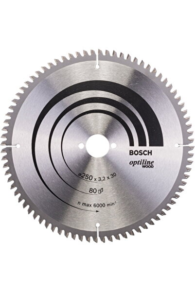 Bosch PГўnzДѓ de ferДѓstrДѓu circular pentru lemn, 250 x 30 x 80T
