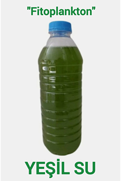 İkizler Yeşil Su Kültürü Mavi Yeşil Alg - Chlorella Fitoplankton - Su Piresi ...