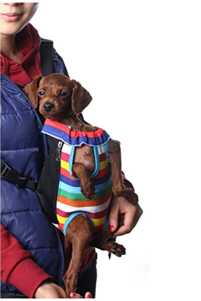 Petza Dog Carrying Dog Carrier Rainbow - Cat Carrier Rainbow