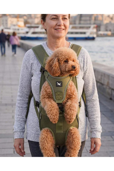Petza Köpek Taşıma Köpek Ana Kucağı - Kedi Ana Kucağı Mato Yeşil