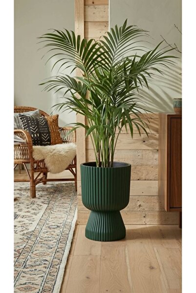 Bliss Lotus Vazo Saksı 10,5 litre Plastik Çiçek Saksısı Salon Saksısı