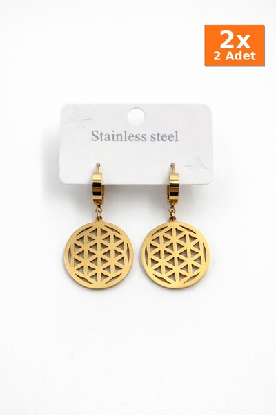 Bozhi Earrings Steel Elegant Gift