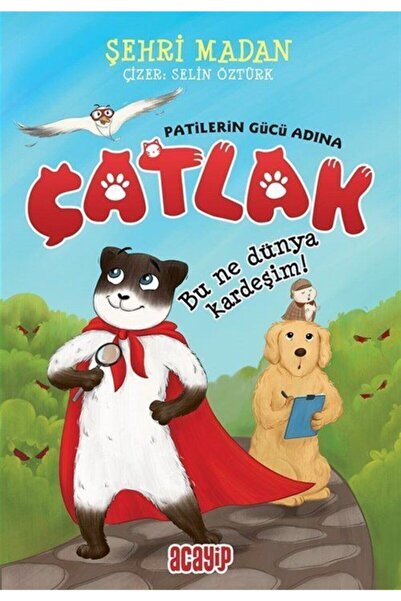 Acayip Yayınları Çatlak / Bu Ne Dünya Kardeşim