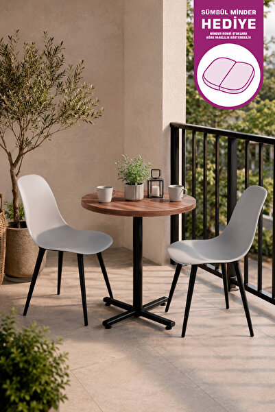 VİLİNZE Eames Sandalye Payas Metal Ayak Mutfak Bahçe Balkon Bistro ve Cafe Ma...